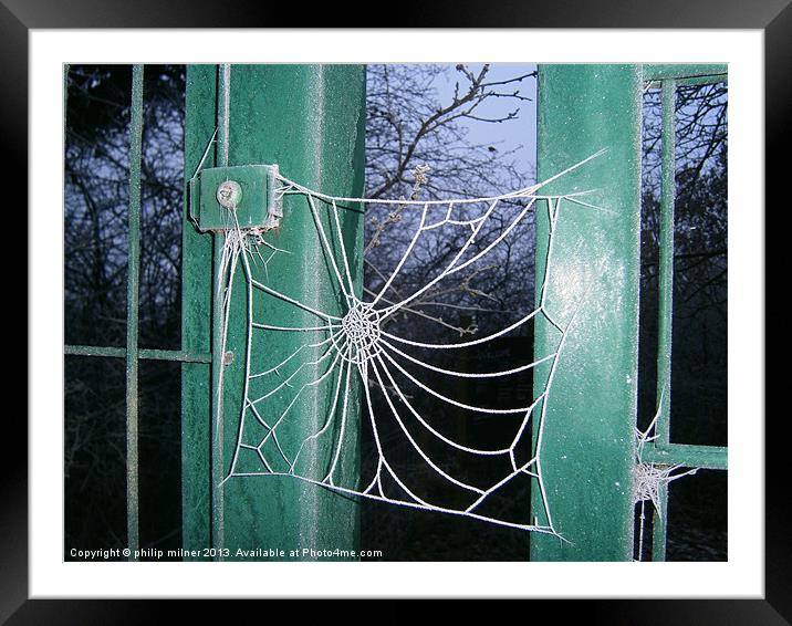 Frozen Spiders Web Framed Mounted Print by philip milner