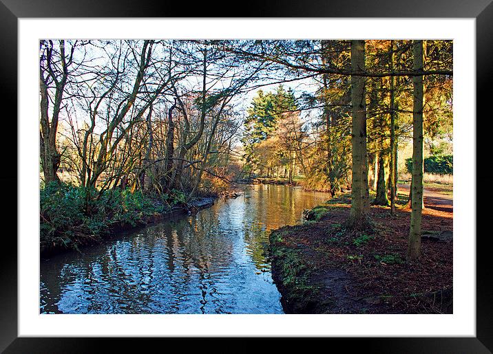 Looking Down The River Framed Mounted Print by philip milner