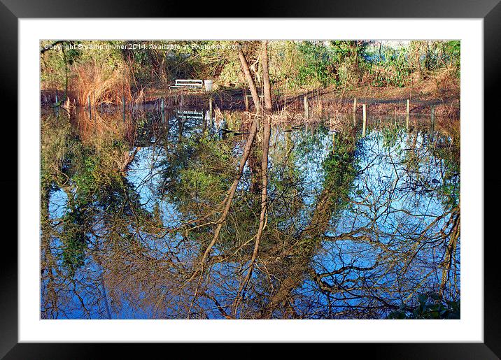 Tree Reflections Framed Mounted Print by philip milner