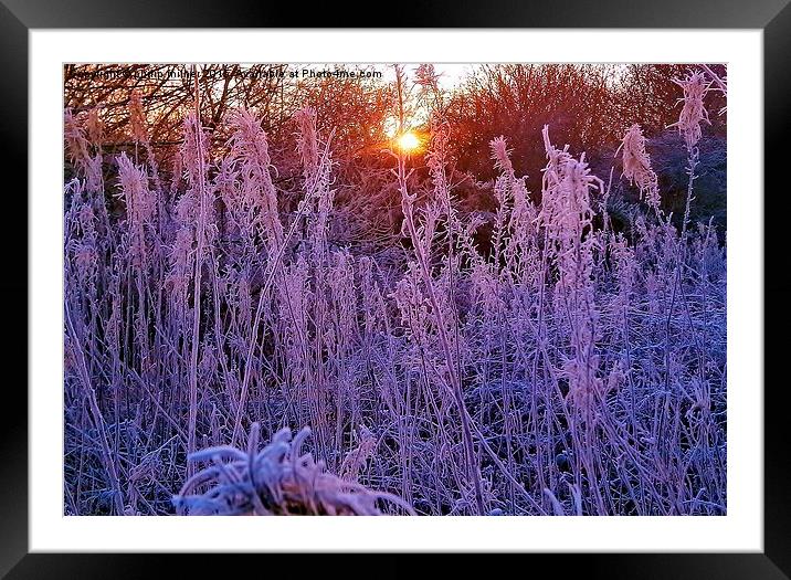  Arley Winter Frost Framed Mounted Print by philip milner