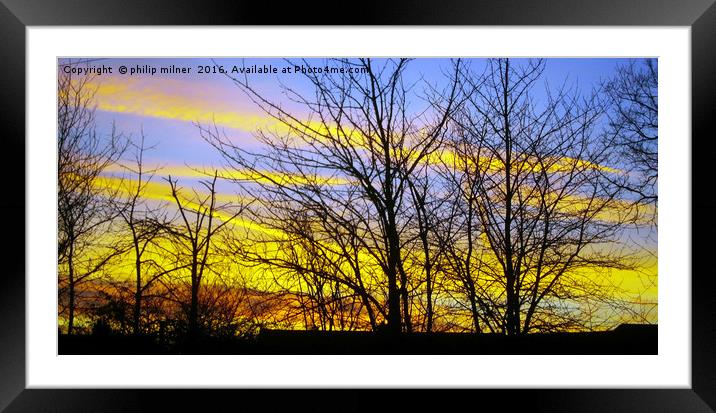 Arley Woods In Sunrise Framed Mounted Print by philip milner