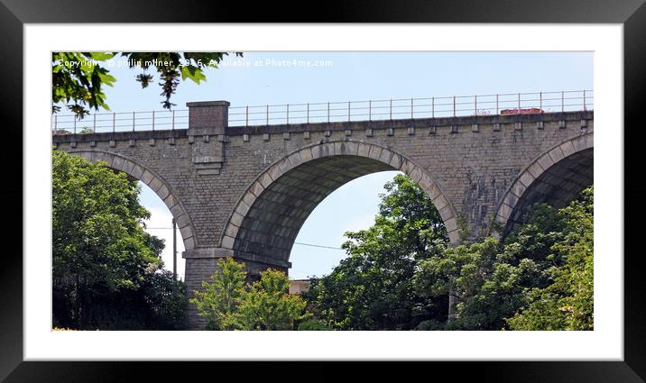 The Treffry Viaduct Newquay Framed Mounted Print by philip milner