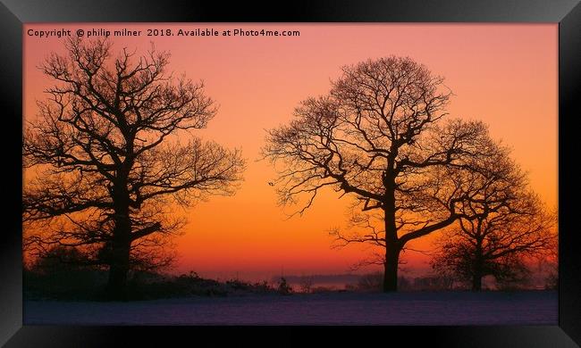 Silhouette Of trees Framed Print by philip milner