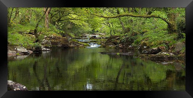 Magical River Framed Print by Magdalena Kniecicka