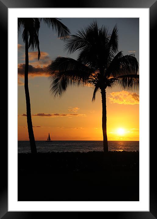 Sailing in Paradise Framed Mounted Print by DROO Photographer