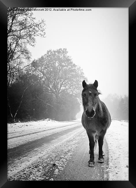 The Frozen Stare Framed Print by stuart bennett