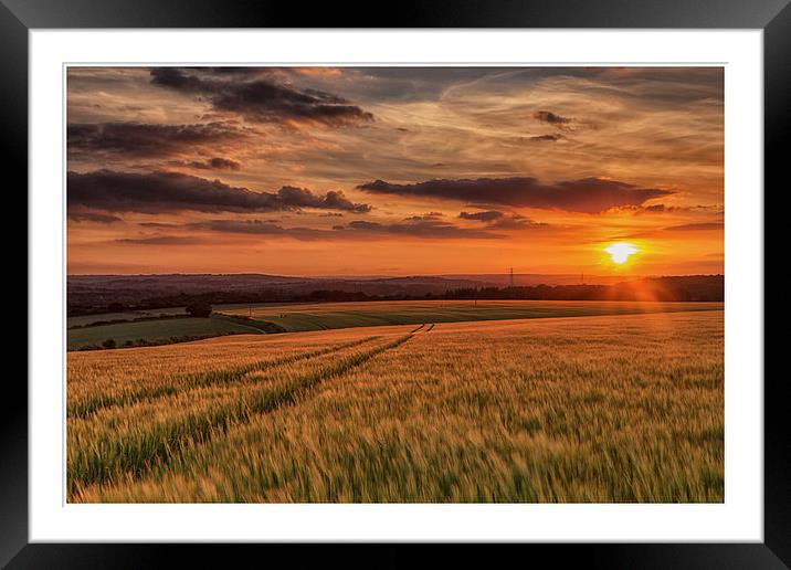 Salisbury Sunset Framed Mounted Print by stuart bennett