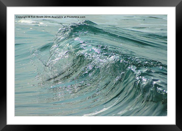 Mini Curl Framed Mounted Print by Rob Booth