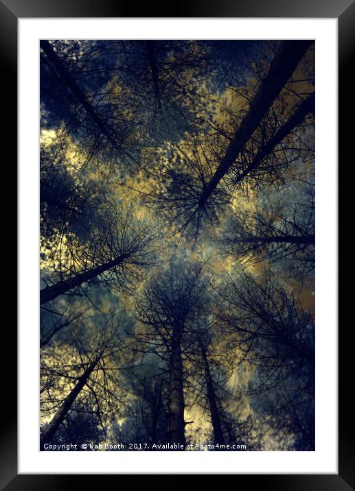 Towards The Sky. Framed Mounted Print by Rob Booth