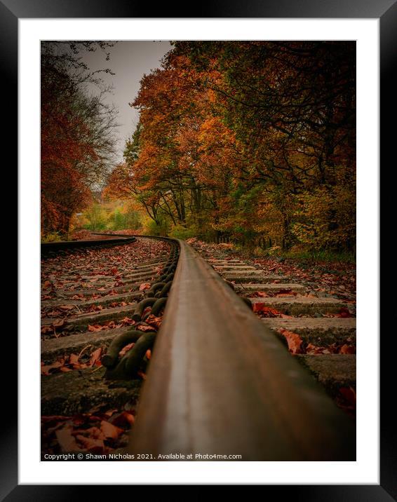 Railway Line, Autumn Trees Framed Mounted Print by Shawn Nicholas