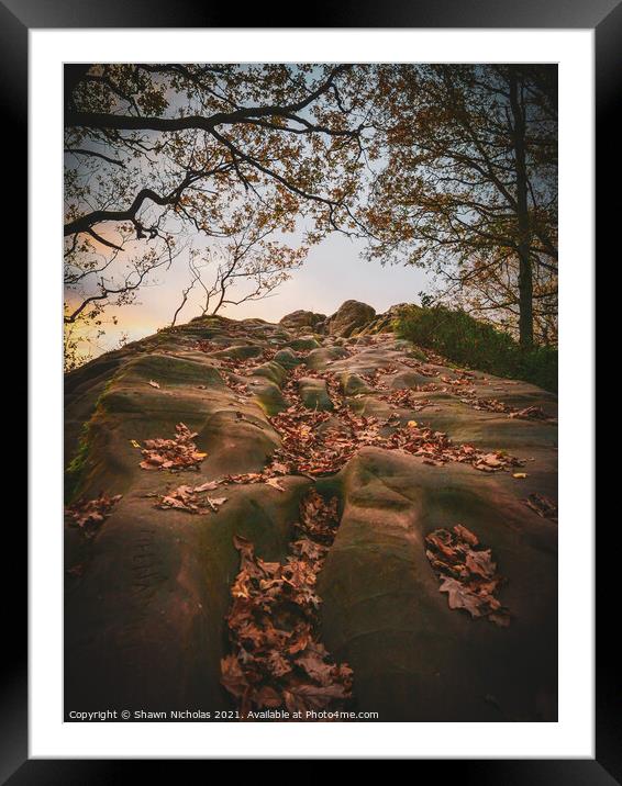 Sandstone Rock Face in Autumn Framed Mounted Print by Shawn Nicholas