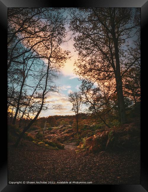 Blue Sky in Autumn with leaves on the ground Framed Print by Shawn Nicholas