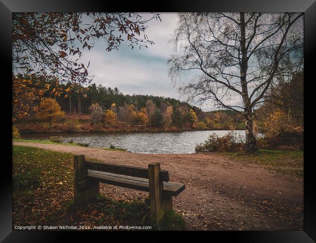 Autumn Landscape looking over the Lake in Cannock Chase, Staffordshire Framed Print by Shawn Nicholas