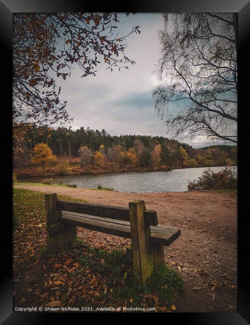 Autumn Landscape looking over the Lake in Cannock Chase, Staffordshire Framed Print by Shawn Nicholas