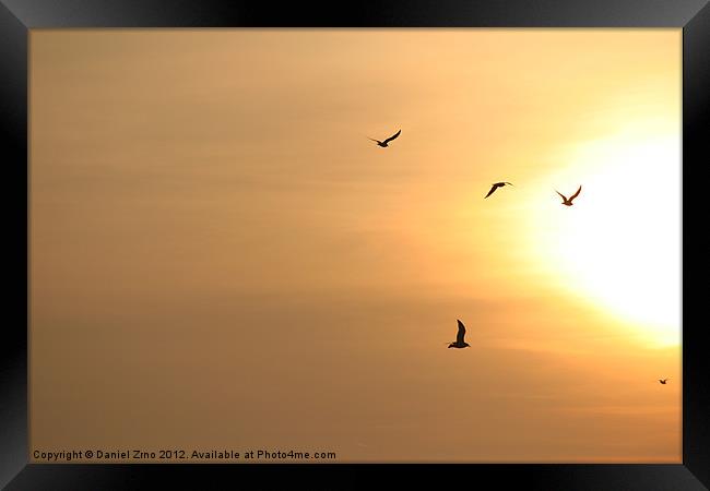 Birds flying into the sun Framed Print by Daniel Zrno