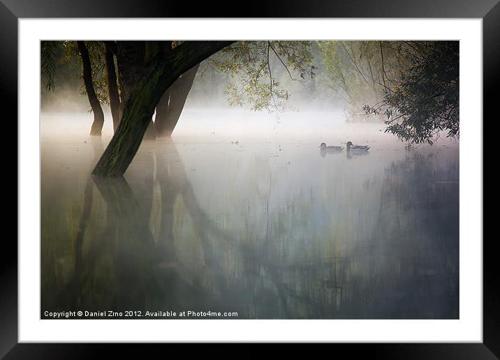 Ducks on Bundek Ghost Lake Framed Mounted Print by Daniel Zrno