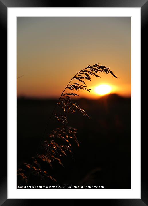 Sunset Silhouette Framed Mounted Print by Scott Mackenzie