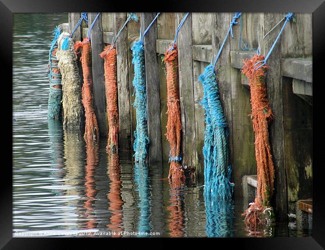 Ropes on a quay Framed Print by Anne Couzens