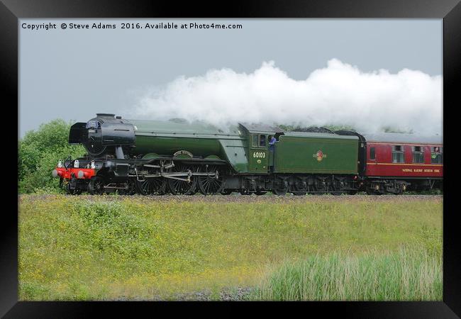 Flying Scotsman Framed Print by Steve Adams