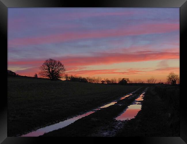 Puddles Framed Print by Steve Adams