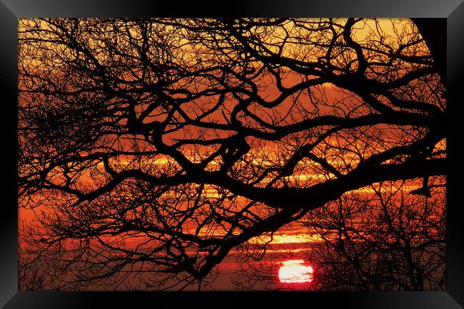 Sunset sihouette Framed Print by Steve Adams