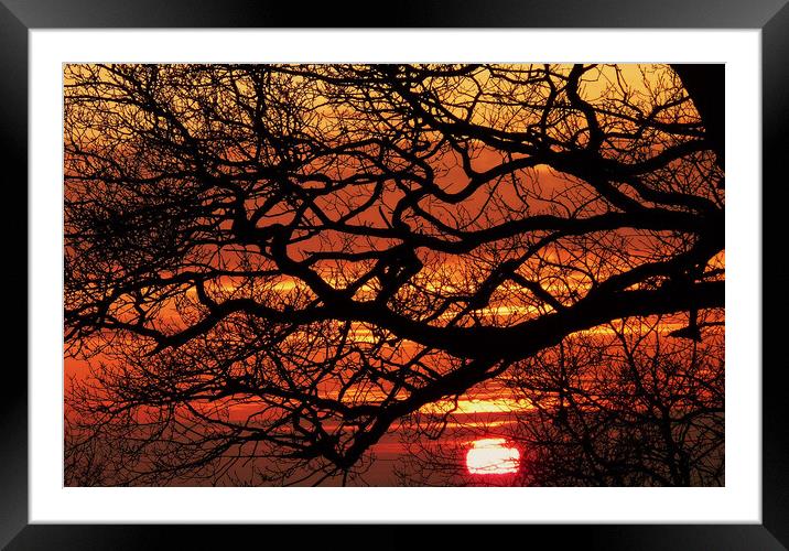 Sunset sihouette Framed Mounted Print by Steve Adams