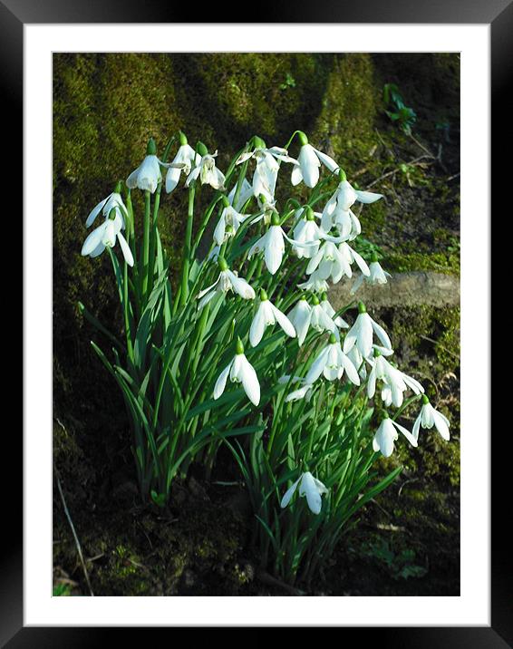 White Droplets Framed Mounted Print by Eleanor McCabe