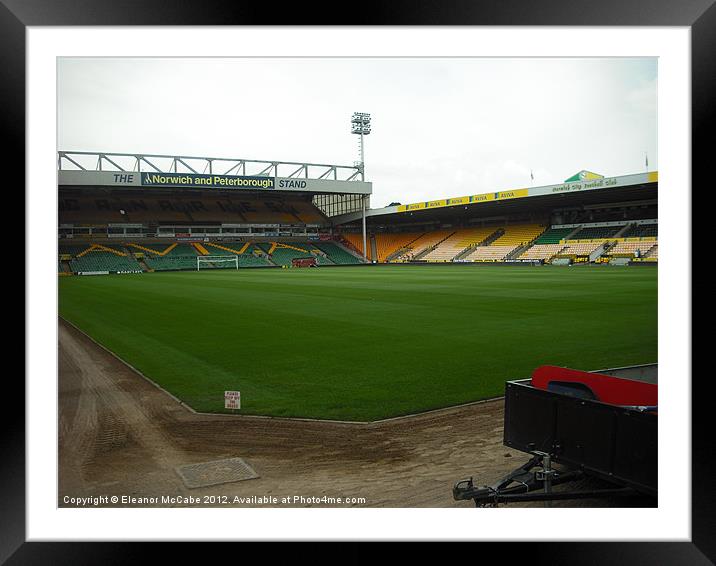 Come on You Canaries! Framed Mounted Print by Eleanor McCabe