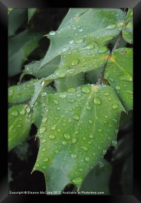 Glassy Drops! Framed Print by Eleanor McCabe