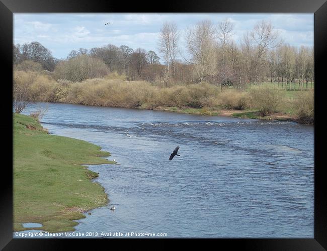 Looking over the River Eden Framed Print by Eleanor McCabe