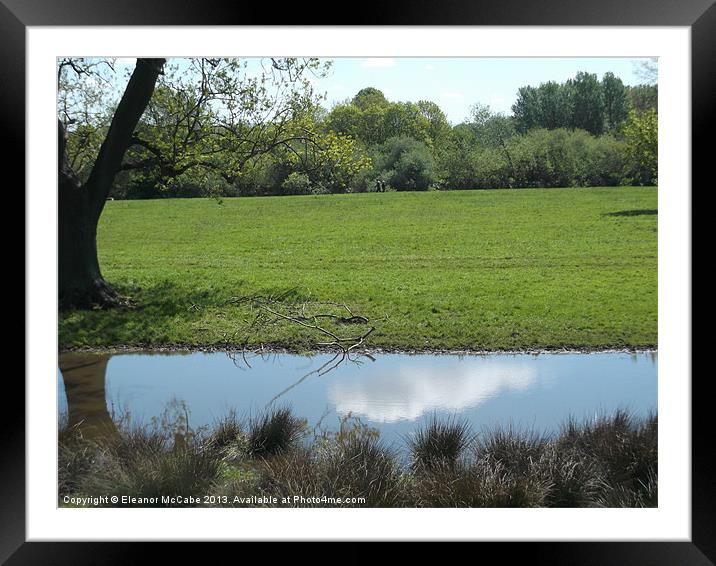 I Can See the Sky! Framed Mounted Print by Eleanor McCabe