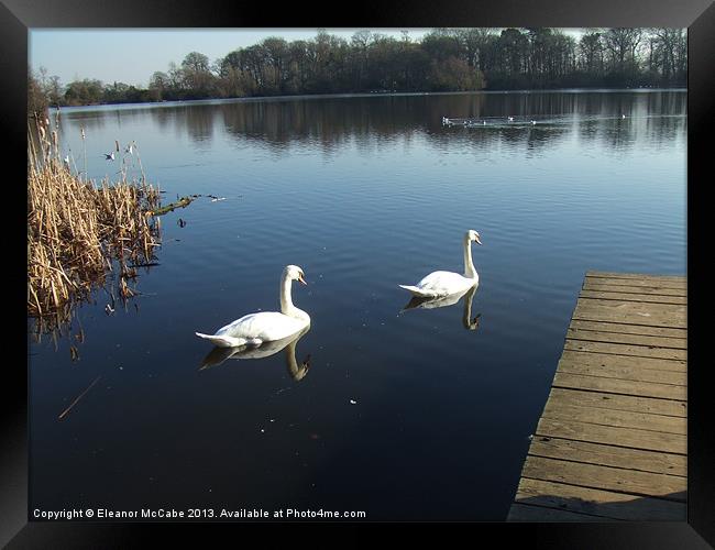 Scene of Tranquility! Framed Print by Eleanor McCabe