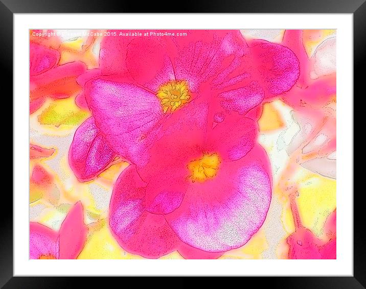 Sugary Summer Pink Delight! Framed Mounted Print by Eleanor McCabe