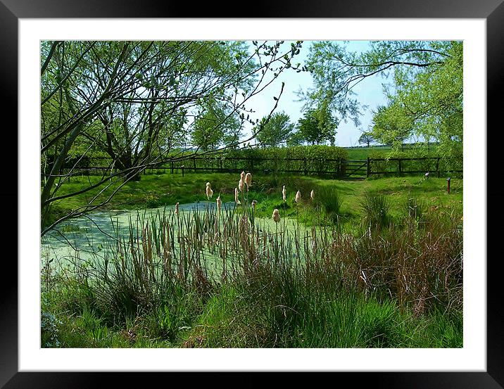 a beautiful corner of essex Framed Mounted Print by linda cook