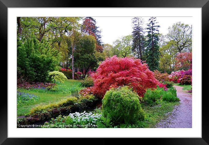 all things bright and beautiful Framed Mounted Print by linda cook