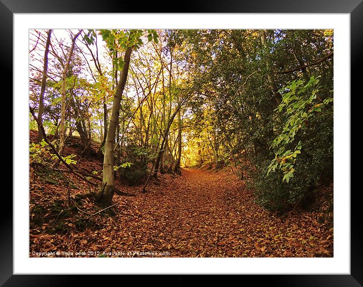 leaves a' falling... Framed Mounted Print by linda cook