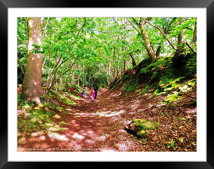 a woodland walk..... Framed Mounted Print by linda cook