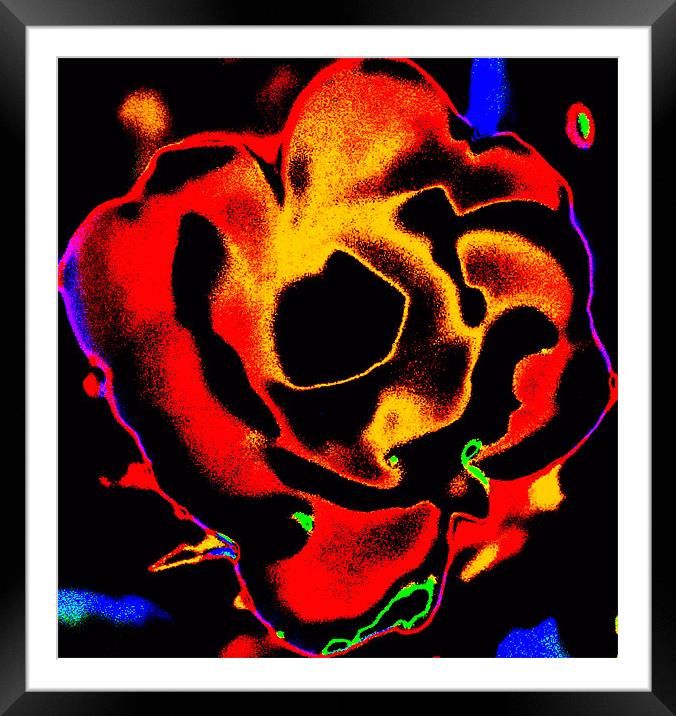 Rose in Retrospect Framed Mounted Print by Stephanie Clayton