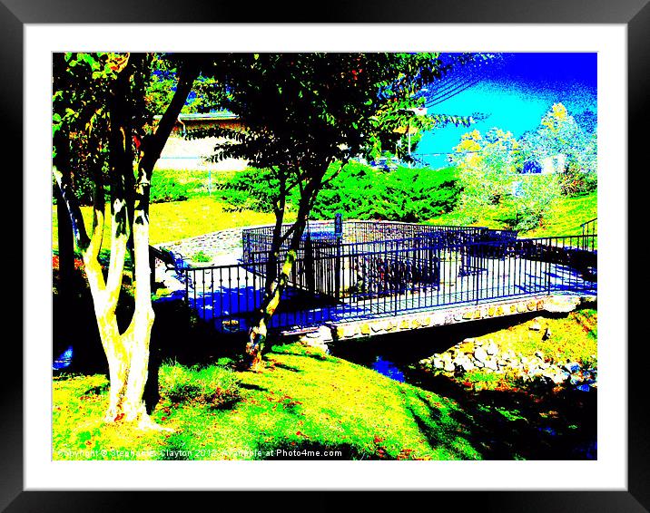 Willow Tree Park Solarized Framed Mounted Print by Stephanie Clayton