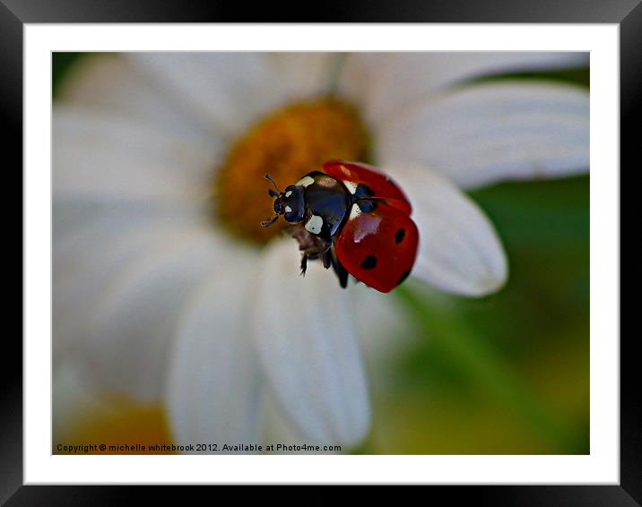 Flying Ladybird Framed Mounted Print by michelle whitebrook