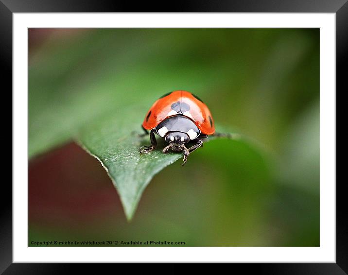 You looking at me? Framed Mounted Print by michelle whitebrook