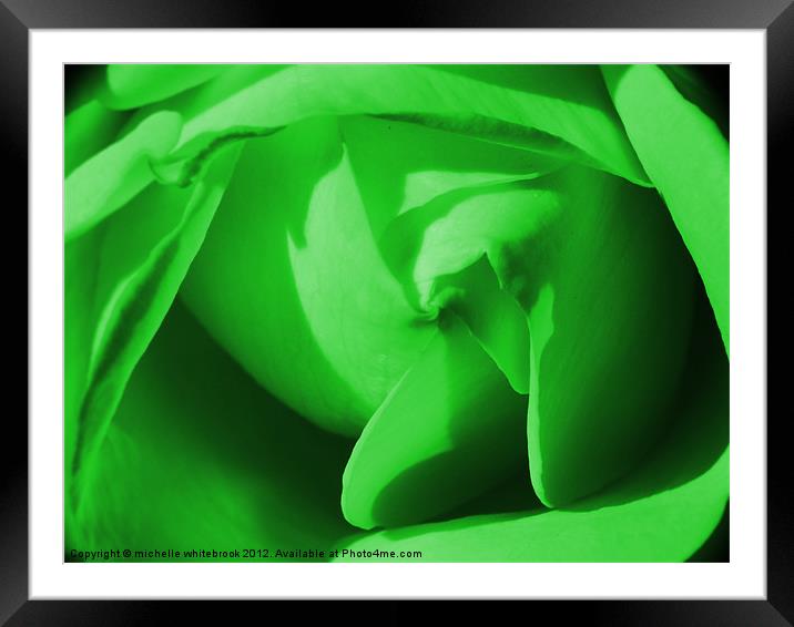 Green Rose Framed Mounted Print by michelle whitebrook