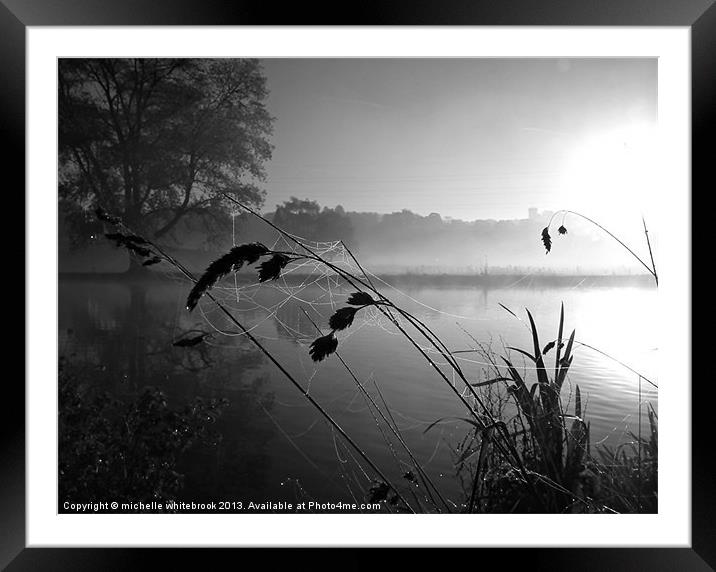 Web in the mist Framed Mounted Print by michelle whitebrook