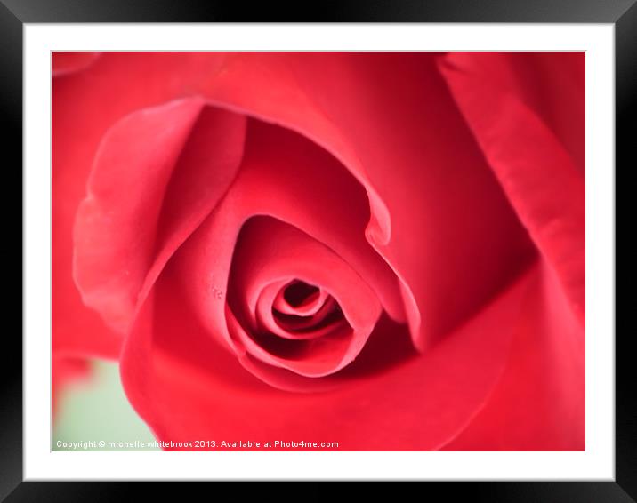 SOFT ROSE 7 Framed Mounted Print by michelle whitebrook