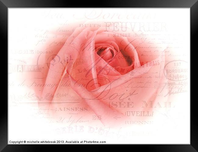 French Rose 9 Framed Print by michelle whitebrook