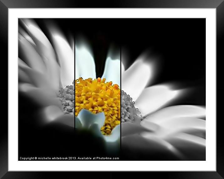 Flower 9 Framed Mounted Print by michelle whitebrook