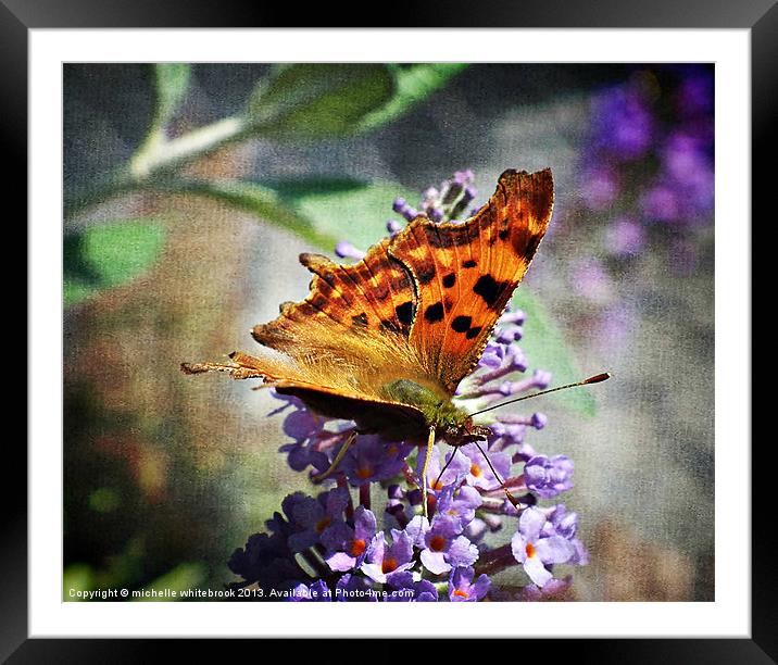 BUTTERFLY 6 Framed Mounted Print by michelle whitebrook