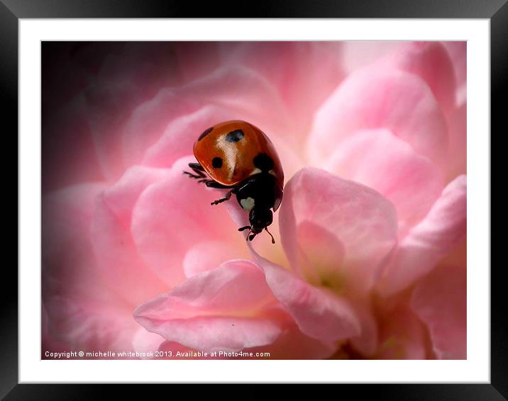 Blossom Hil Framed Mounted Print by michelle whitebrook