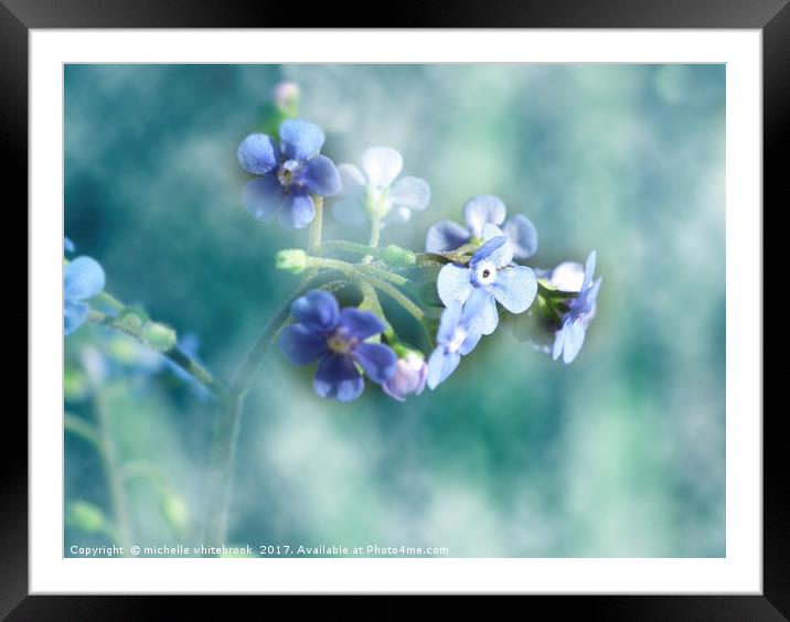 Dreamy Forget Me Not Framed Mounted Print by michelle whitebrook