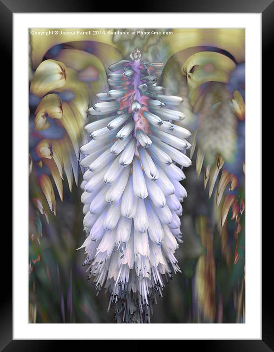 Abstract Lupin in Pastel Framed Mounted Print by Jacqui Farrell